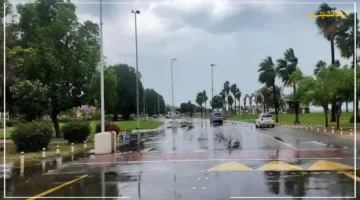 رسميًا من السعودية.. خطة جديدة لتعزيز نقاء الهواء ورصده بأحدث التقنيات. 1